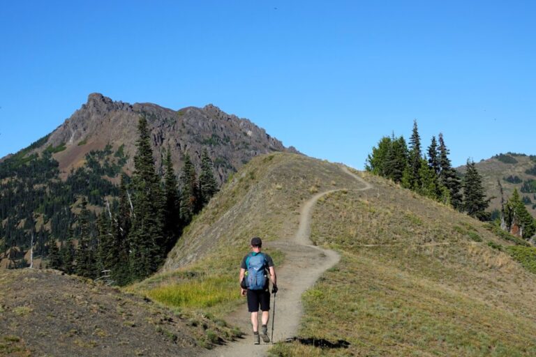 hurricane ridge