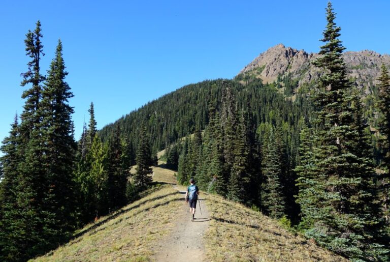 mount-angeles (5)