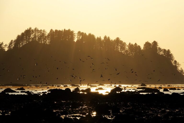 ozette island