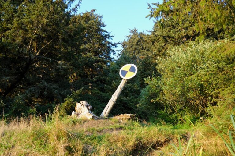 cape alava trail