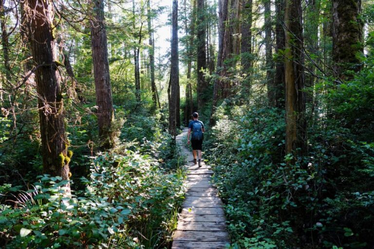 sand point trail