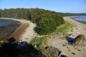 sand point