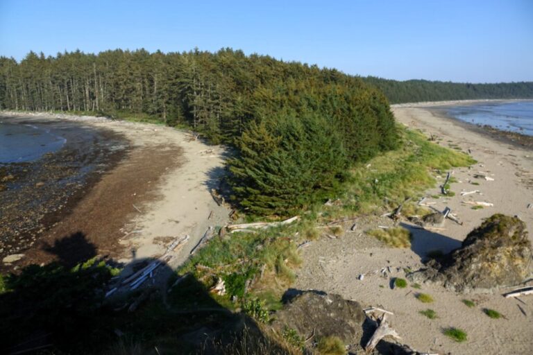 sand point
