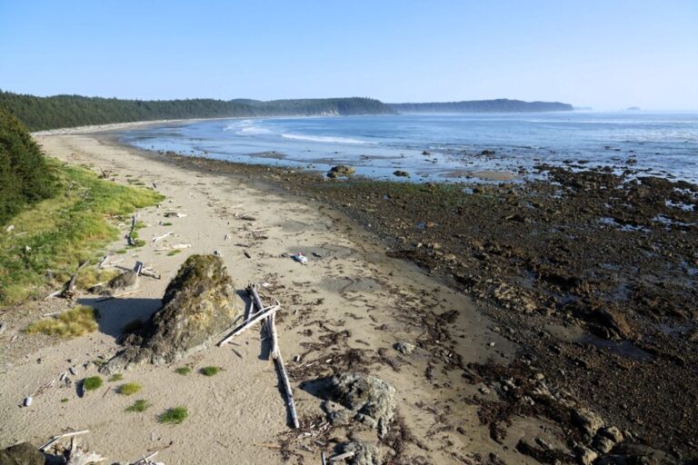 ozette-triangle-trail (4)
