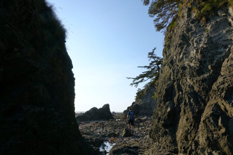 ozette-triangle-trail (6)