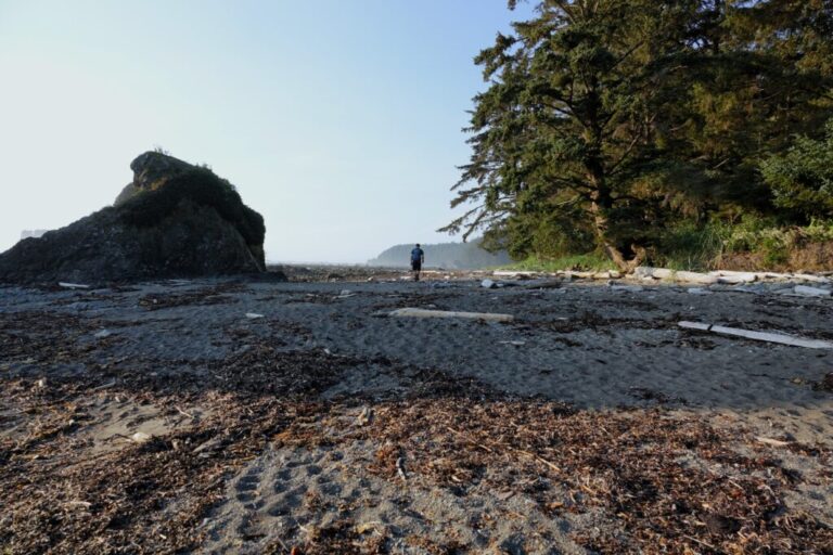 ozette-triangle-trail (7)