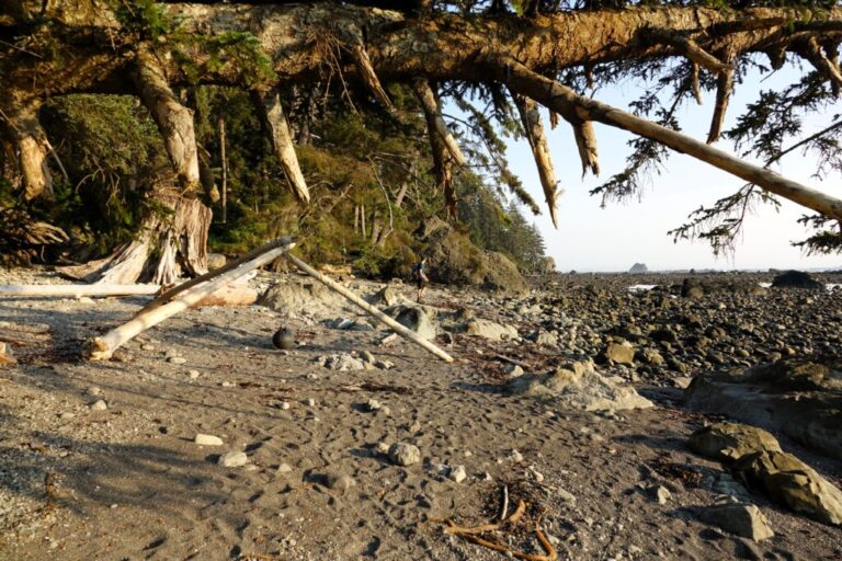 ozette-triangle-trail (9)