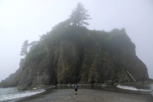 abbey island