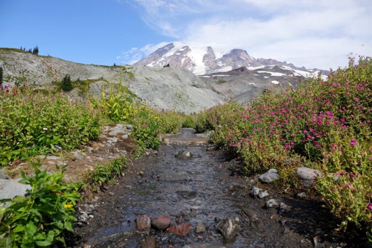 skyline-trail (14)