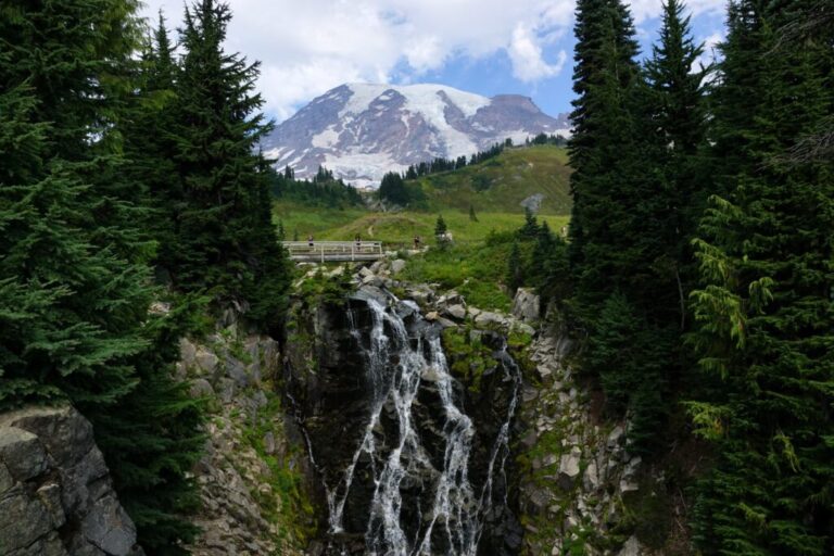 myrtle falls