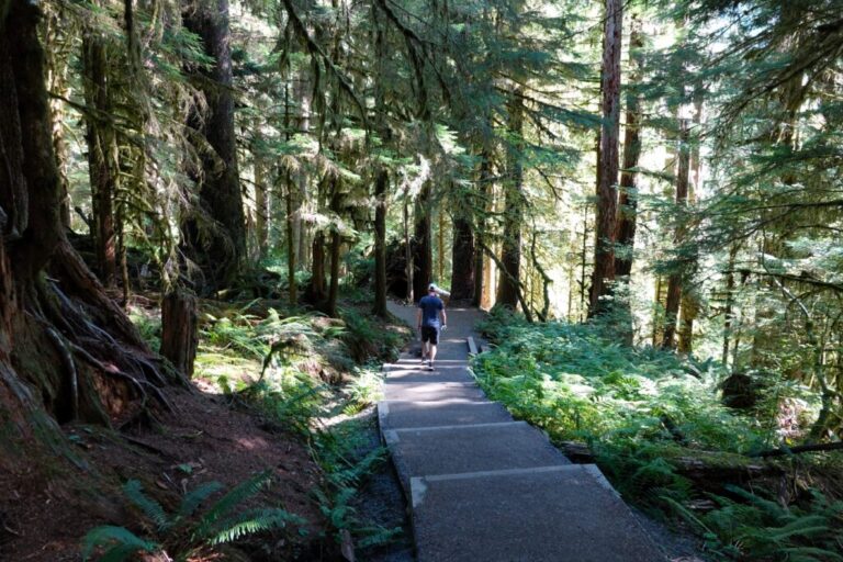 sol-duc-falls (2)