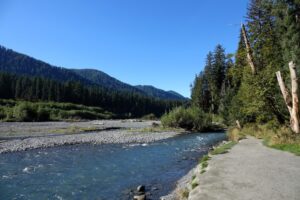 hoh river
