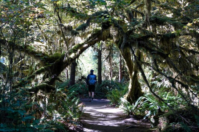 spruce-nature-trail (4)