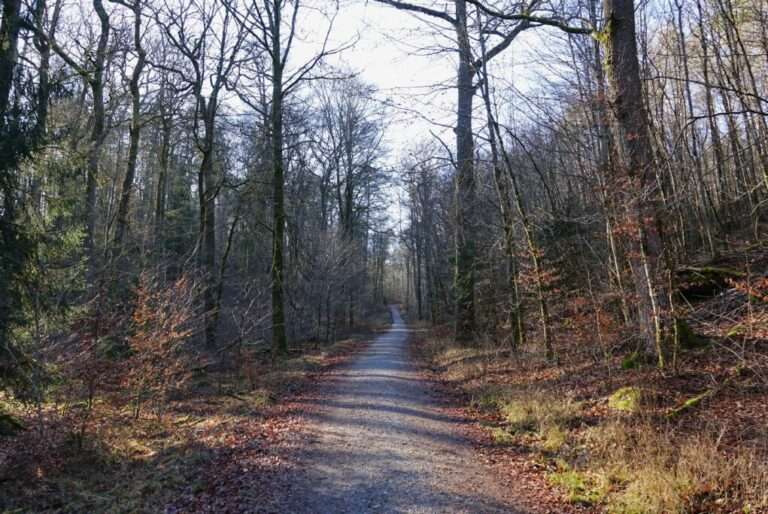 altschlossfelsen (1)