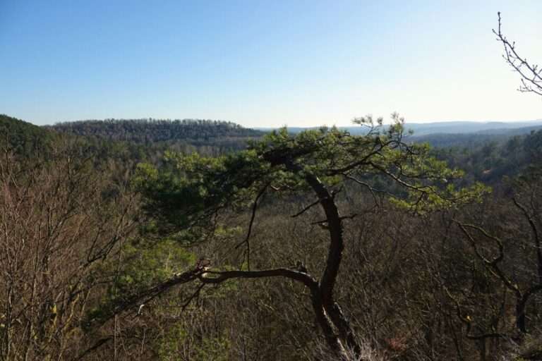 altschlossfelsen (4)