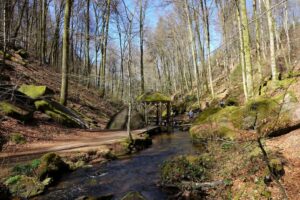 Mooslabe in der Karlstalschlucht