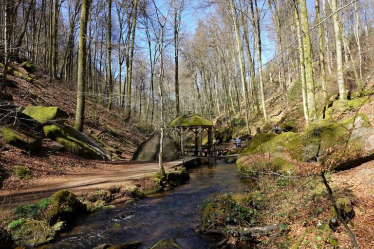 Mooslabe in der Karlstalschlucht