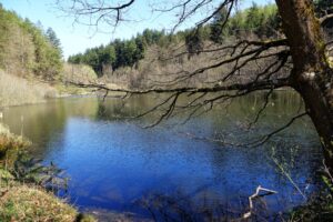 Kottelbach und Moosabler Weiher