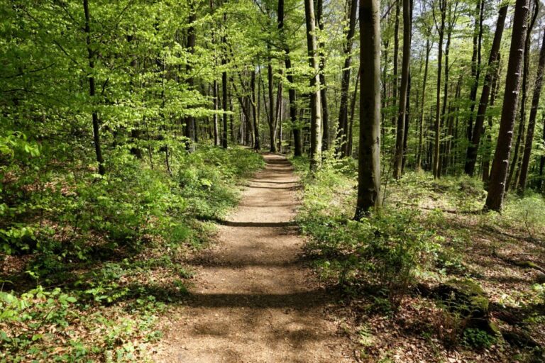 baerensteig (14)