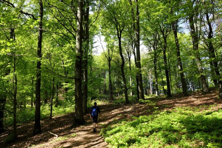 baerensteig (16)