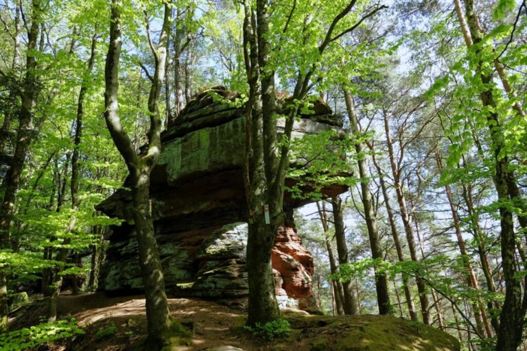 baerensteig (17)