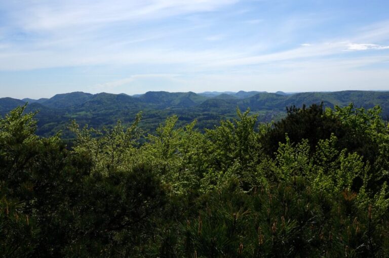 baerensteig (18)