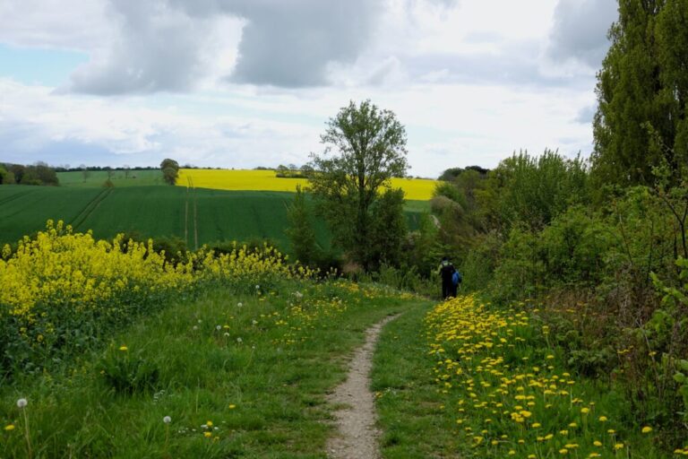 gendarmstien (38)
