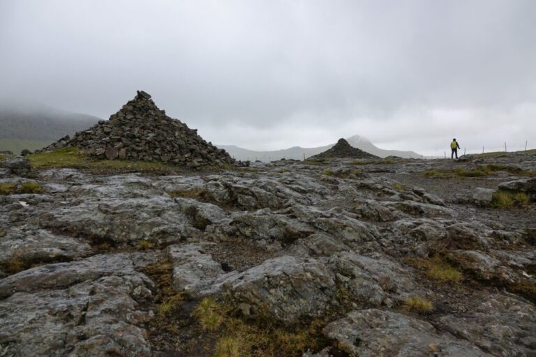 altarid (3)