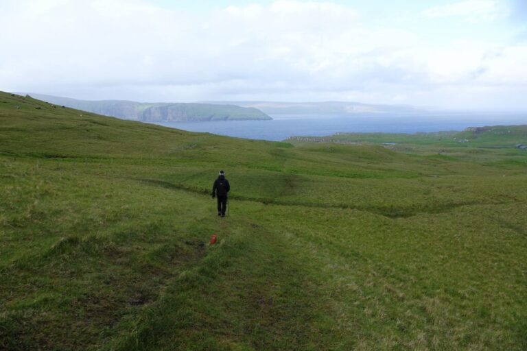 liraberg (2)