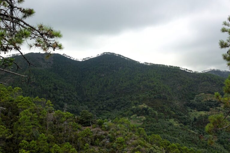 cinque terre nationalpark
