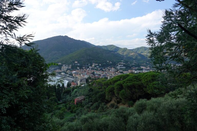 levanto