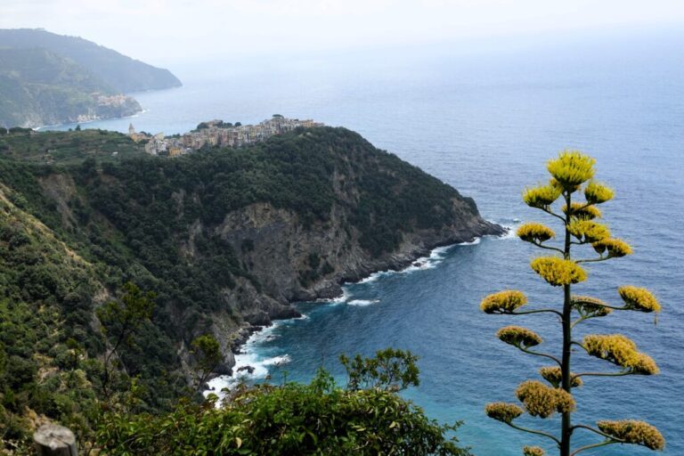 extended-sentiero-azzurro (8)