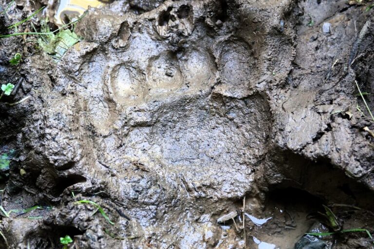 vidikovac-jagmile (4)