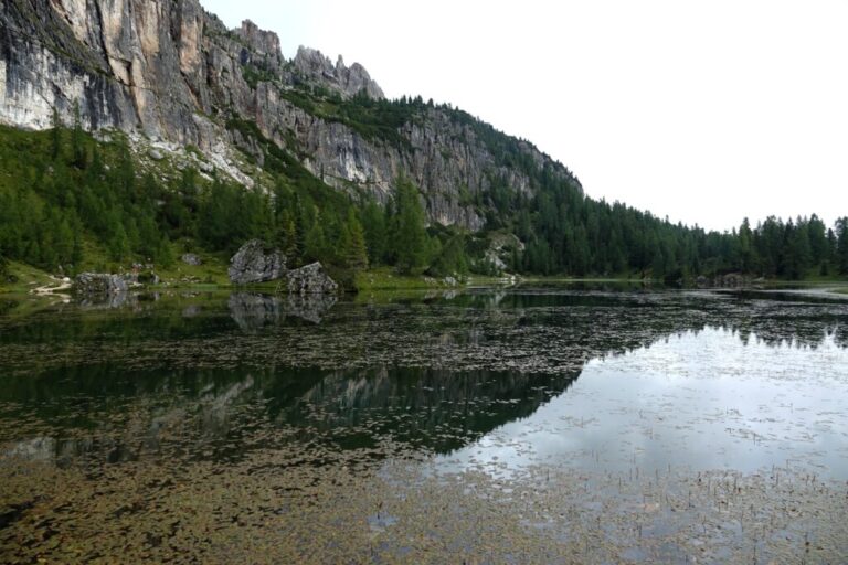 lago federa