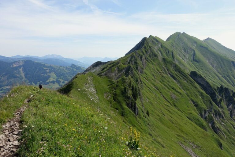 brienzer-rothorn-nach-planalp (10)