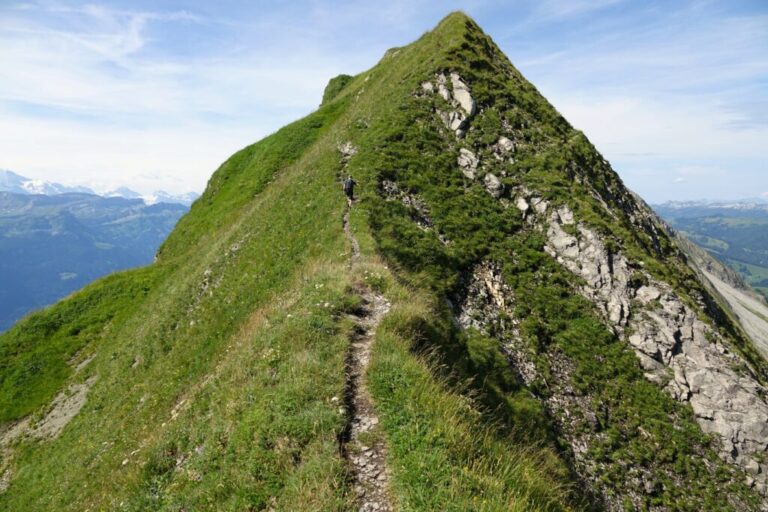 brienzer-rothorn-nach-planalp (12)
