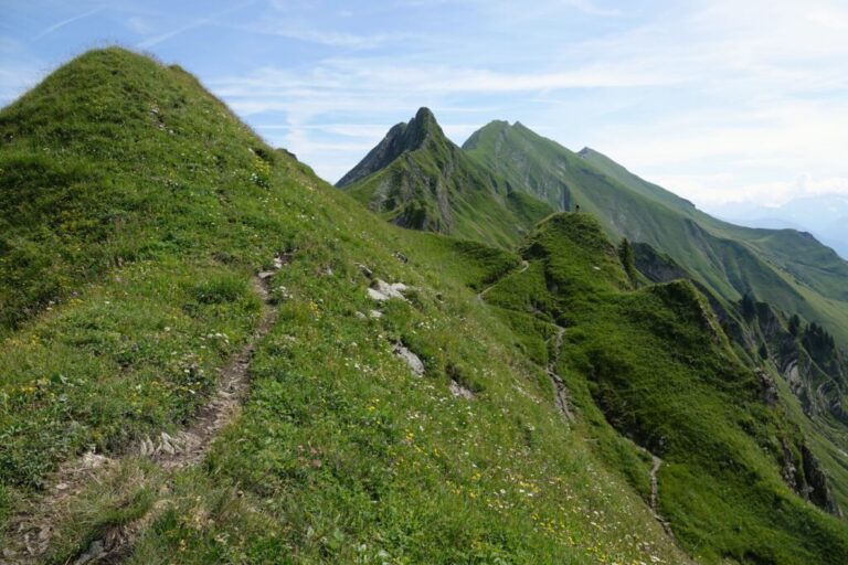 brienzer-rothorn-nach-planalp (14)