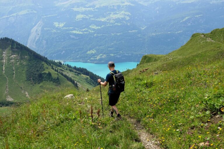 brienzer-rothorn-nach-planalp (15)