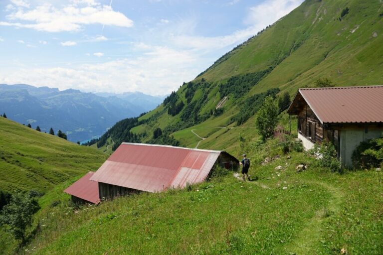 brienzer-rothorn-nach-planalp (17)