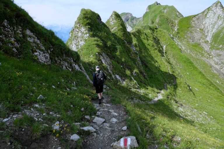 brienzer-rothorn-nach-planalp (18)
