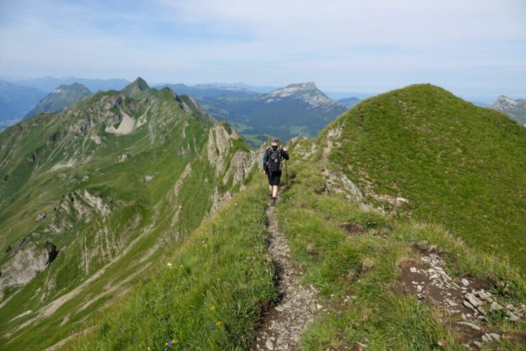 brienzer-rothorn-nach-planalp (7)