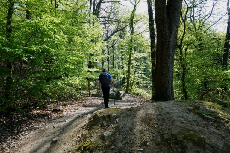 schauenburg-und-oelberg (1)