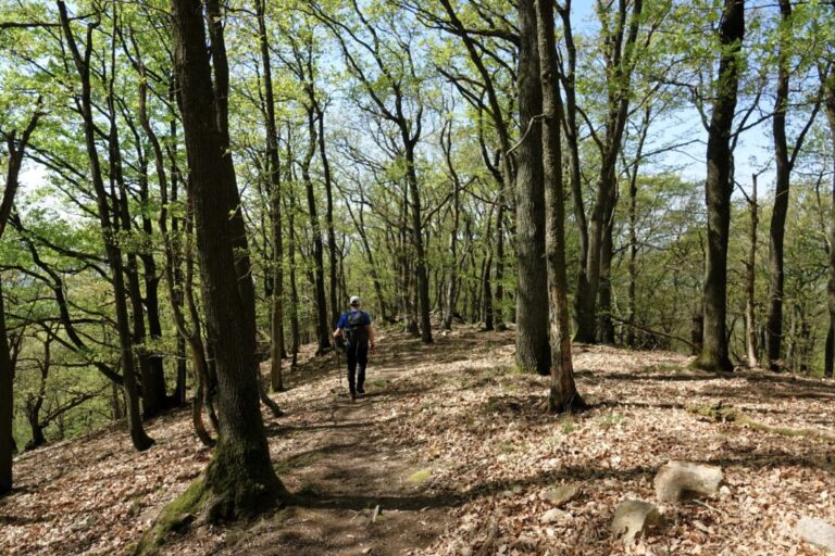 schauenburg-und-oelberg (10)