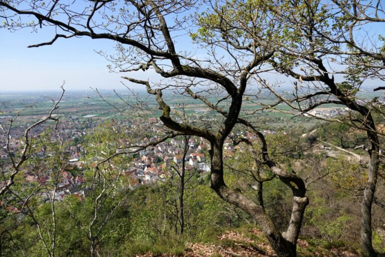schauenburg-und-oelberg (11)