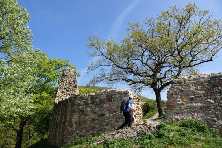 burgruine schauenburg
