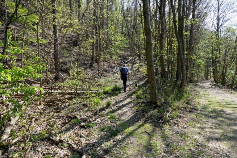 schauenburg-und-oelberg (5)