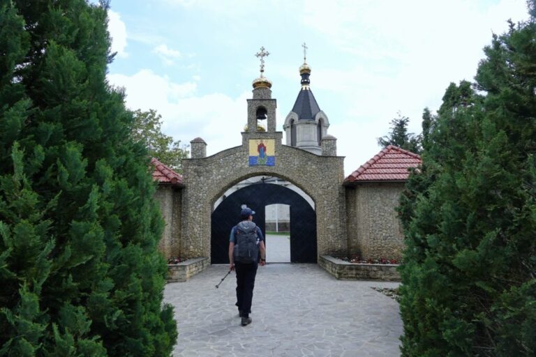 DSC02609 (2)