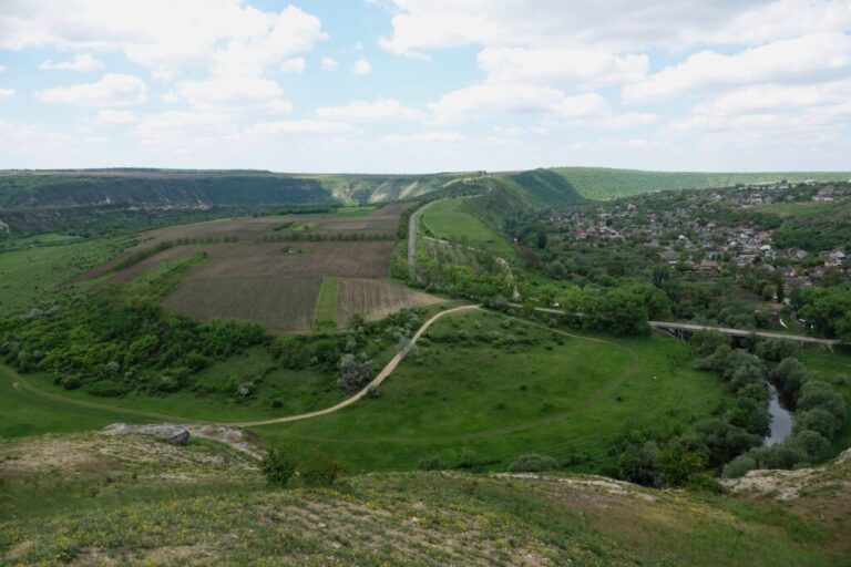 DSC02632 (2)