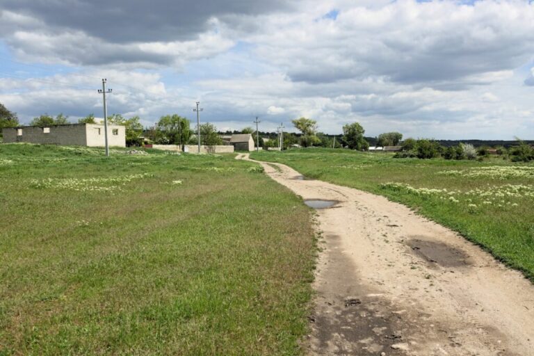 DSC02646 (2)