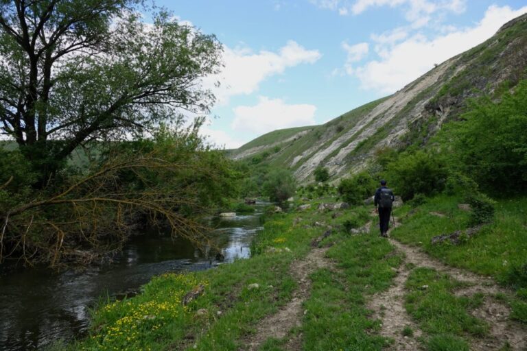 DSC02669 (2)